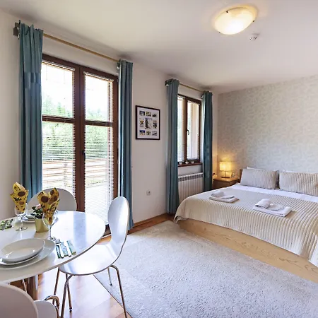 Mountain View 公寓 班斯科