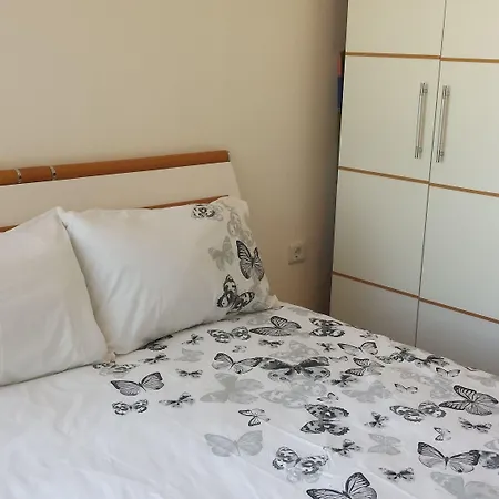 Apartman Mountain View Banszko